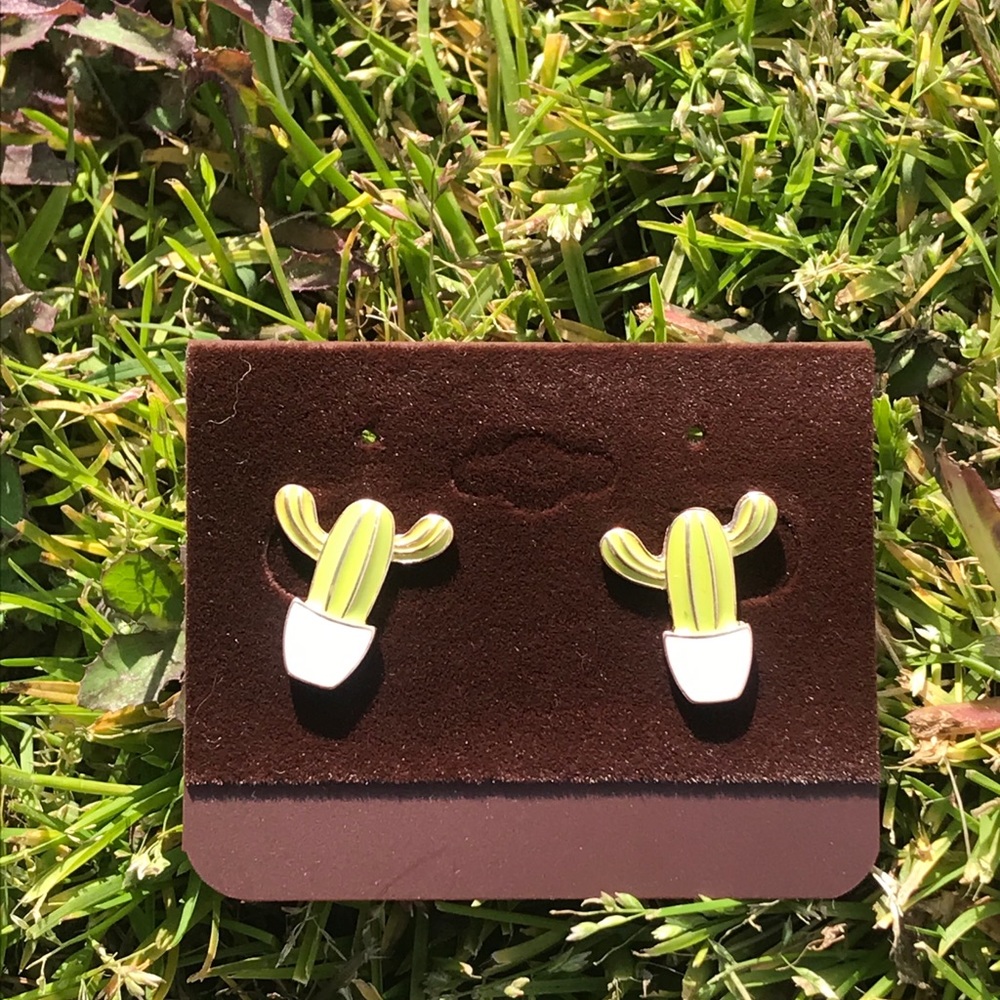 Cactus 🌵